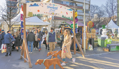 Avrupa’nın en güzel vizesiz Noel pazarları