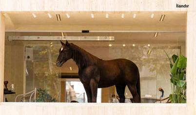 Espressolab, Jurassic Park teknolojisini şehirle buluşturdu