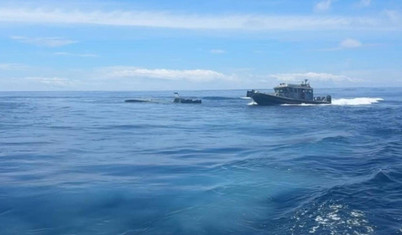 ABD ordusunun peşinde olduğu narkotikler: Günlük 100 bin dolar