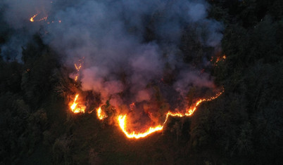 Artvin Hopa'da örtü yangını