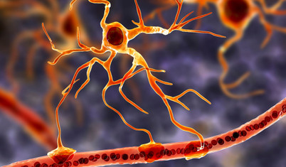 Beynimizin sessiz yıldızları: Bu hücreler davranışımızı, hafızamızı ve sağlığımızı şekillendiriyor