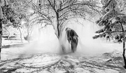 Mamut Art Project, 12. kez genç yetenekleri sahneye taşıyor