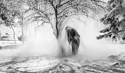 Mamut Art Project, 12. kez genç yetenekleri sahneye taşıyor