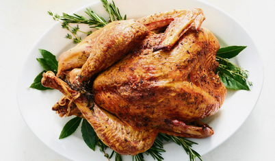 Hindinin en güzel hali