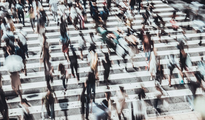 Orta sınıf düşer, toplum çürür!