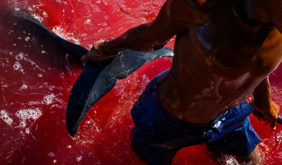 New York Times objektifinden 2025'in en iyi kareleri