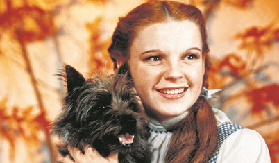 Köpekler ergenlerde agresifliği azaltıyor sosyalliği artırıyor