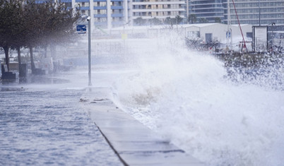 İstanbul'u lodos vurdu: Ağaçlar devrildi, çatılar uçtu
