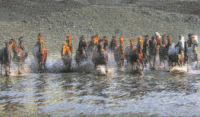 Dörtnala koşan Vahşi ve Özgür atlar