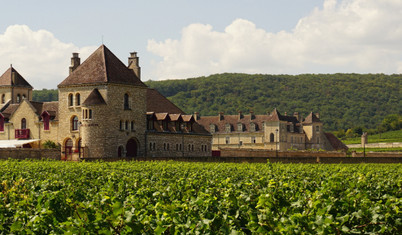 Avrupa’da gastronomi odaklı 5 lezzet rotası