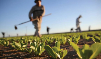 Gübre ürün grubundaki bazı ürünlerin gümrük vergisi sıfırlandı
