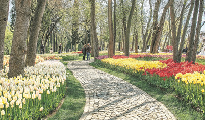 Soğanını sevdiğim