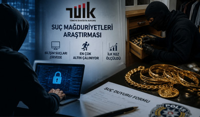 TÜİK ilk kez "suç mağduriyetlerini" ölçtü: Bilişim suçları zirvede, en çok altın çalınıyor
