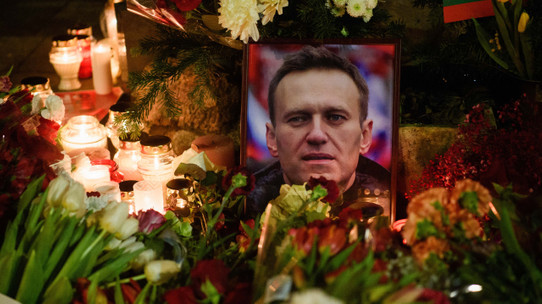 WSJ ABD'li ajanların bulgularını yazdı: Navalni'nin ölüm emrini Putin vermedi
