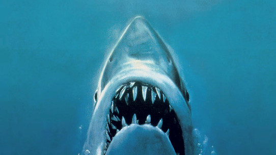 Steven Spielberg imzalı Jaws'ın koleksiyon parçaları satışa çıkıyor