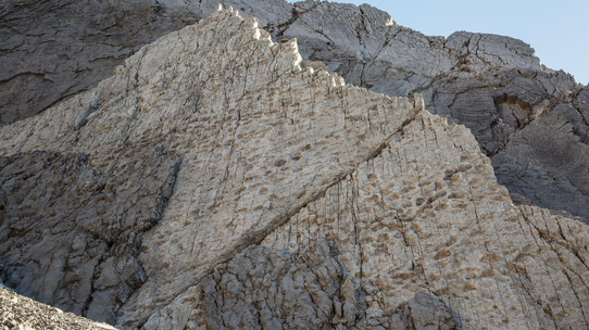 İtalya'daki bir dağda 210 milyon yıl öncesine ait binlerce dinozor ayak izi keşfedildi