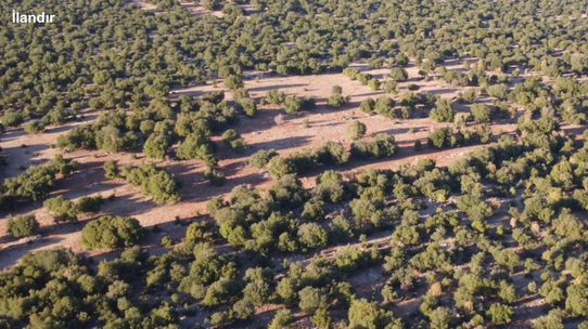 Amazon’dan Türkiye’ye 1,5 milyon avro destek: Deprem bölgesinde ekosistemler yeniden onarılacak