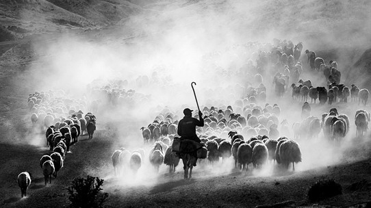 Sofranın arkasındaki görünmeyen hikayelerin fotoğrafları
