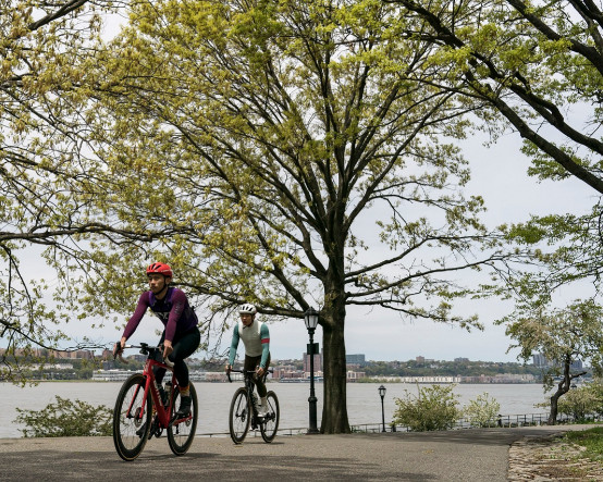 NYT uzmanlara sordu: Bisiklet sürmeyi nasıl antrenmana dönüştürürsünüz?