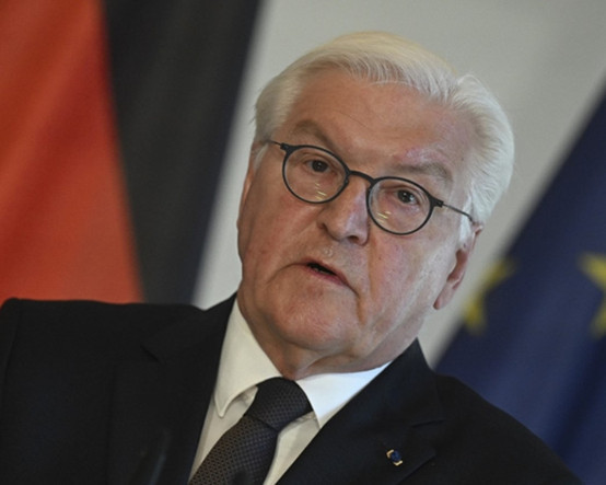 Almanya Cumhurbaşkanı Steinmeier: BM kendisini değiştirmeli, daha verimli ve etkili hale gelmeli
