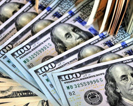 Mutlak butlan kararının bilançosu: Merkez Bankası 7 milyar dolarlık döviz sattı
