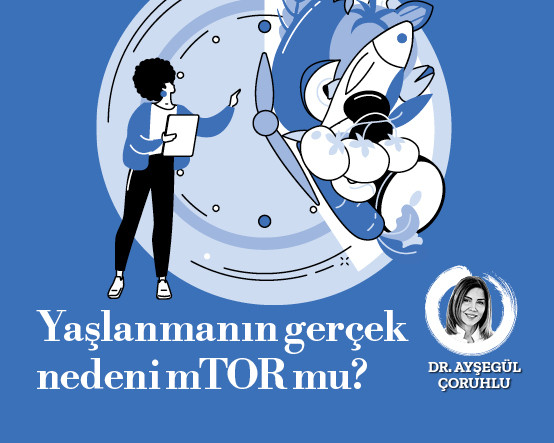 Yaşlanmanın gerçek nedeni mTOR mu?