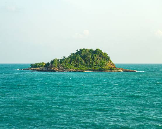 Teknoloji milyarderlerinin kendi ülkelerini kurma planı: Ultra zenginler ıssız adalara yönelmeye başladı