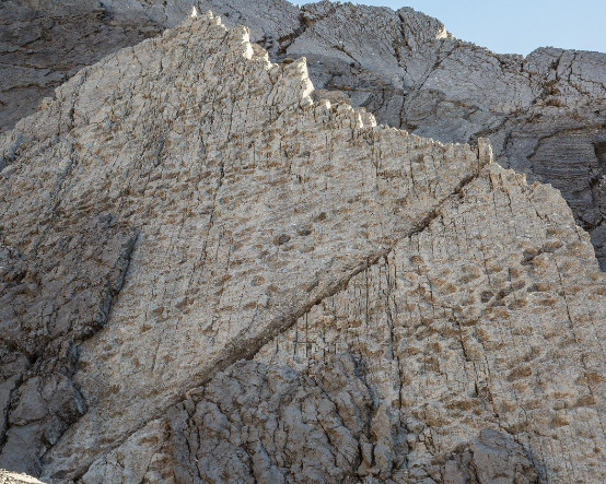İtalya'daki bir dağda 210 milyon yıl öncesine ait binlerce dinozor ayak izi keşfedildi