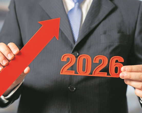 Yeni yılın beyaz ve gri kuğu riskleri