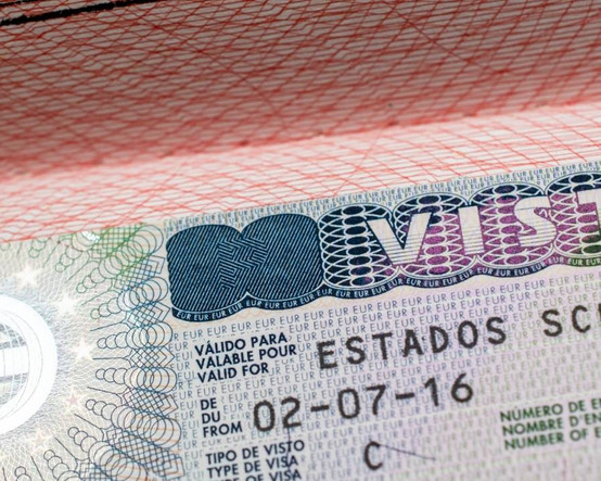 Avrupa'dan Türkiye'ye yönelik vize açıklaması: Yetkililer sorunu çözmek yerine yeşil pasaport veriyor