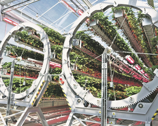 Dyson şimdi de tarımda devrim peşinde koşuyor