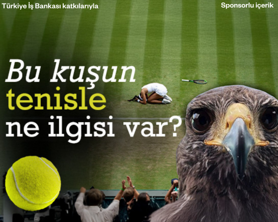Bu kuşun tenisle ne ilgisi var?