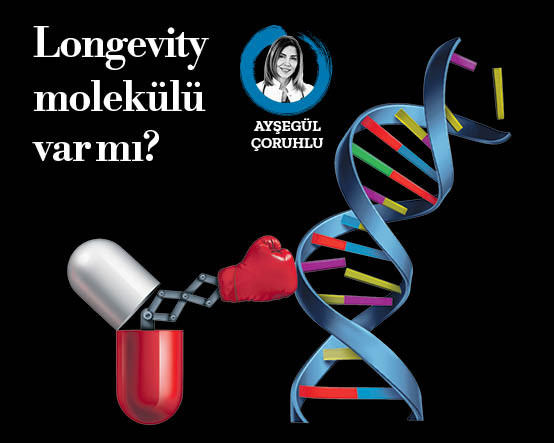 Longevity molekülü var mı?