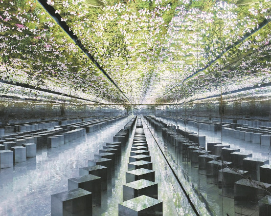 Anderson’dan Dior masalları