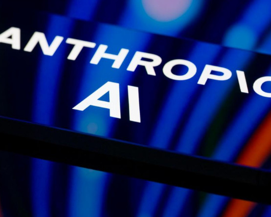 Kurallar enayiler içindir