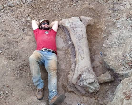 Brezilya'da yeni bir dinozor türü keşfedildi