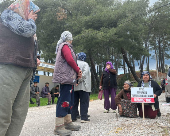 Akbelen'de 'habersiz' keşif: Bilirkişi heyeti incelemelere başladı