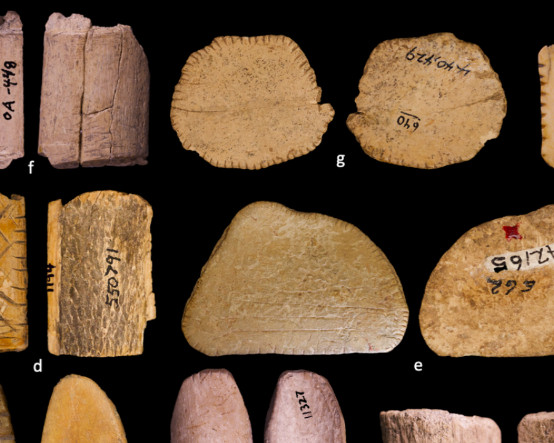 Yeni arkeolojik bulgu: İnsanlar Buz Devri’nden beri kumar oynuyor