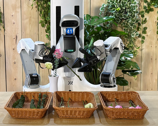 Koşup dans eden insansı robotlardan günlük yaşama: Çinli şirketin hedefi ev işleri