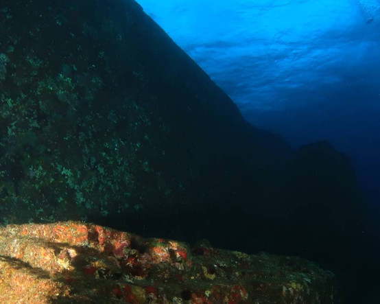 The Times inceledi: Kayıp kıta 'MU' Japonya'da mı bulundu?