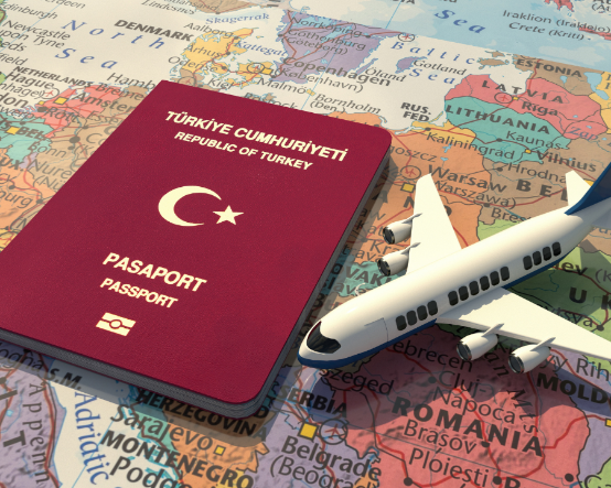 6 ilde vize operasyonu: Randevularda usulsüzlük yaptığı iddia edilen 49 kişi gözaltında