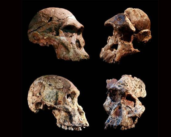 300 bin yıllık insansı türle ilgili şaşırtıcı keşif: Afrika'daki mağarada 'kadınlar odası' bulundu