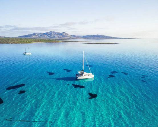 Beyaz perdeden Akdeniz'e 88 bin euroluk kaçış: Türkiye'den İtalya'ya "The Odyssey" turları başladı