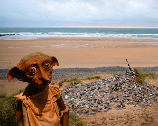 430 milyon sterlinlik enerji projesine Harry Potter müdahalesi: Dobby için güzergah değişti