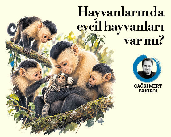 Hayvanların da evcil hayvanları var mı?