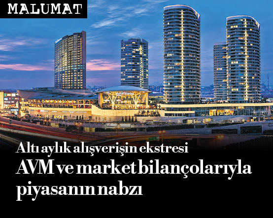 Altı aylık alışverişin ekstresi