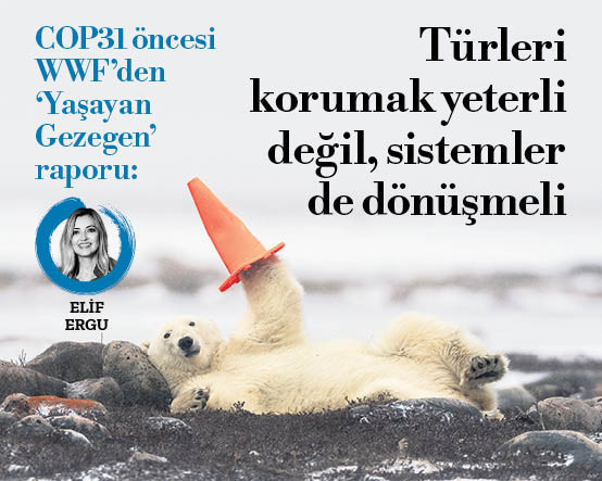 COP31 öncesİ WWF’den 2026 Yaşayan Gezegen Raporu: “Türleri korumak yeterli değil, sistemler de dönüşmeli”