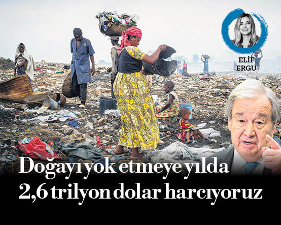 Doğayı yok etmeye yılda 2.6 trilyon dolar harcıyoruz