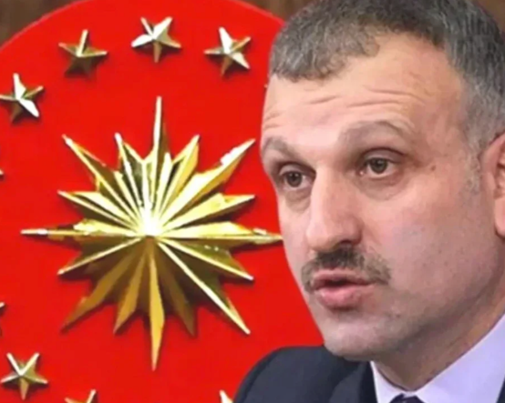 Cumhurbaşkanı Başdanışmanı Oktay Saral görevden alındı