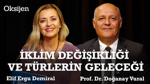Orman yangınları nasıl önlenir? | COP31'e doğru | Prof. Dr. Doğanay Vural - Elif Ergu
